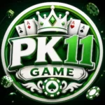 PK11 Game