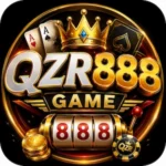 QZR888 Game