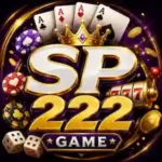 SP222 Game
