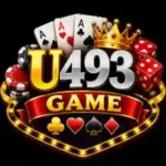 U493 Game